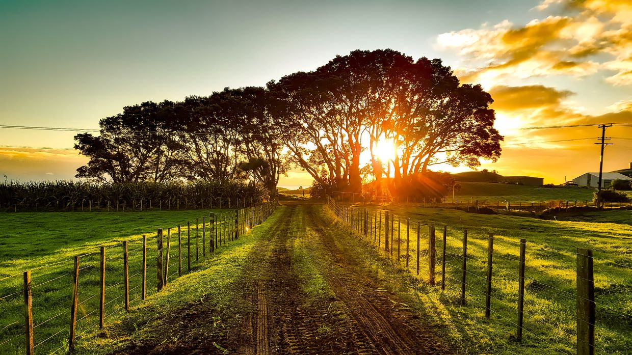 new zealand g1af6aeec9 1920 geaendert - ☀️ Photovoltaik & Solar für den Kanton Genf GE